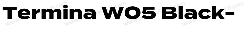 Termina W05 Black字体转换